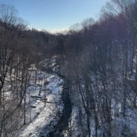 A snow-covered creek winds through a leafless forest beneath a bright winter sun.