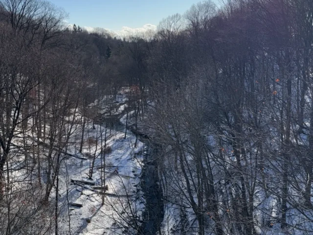 A snow-covered stream winds through leafless woods beneath a bright winter sky.