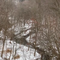 A narrow creek winds through a snowy, leafless forest in winter.