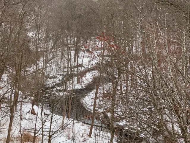 A narrow creek winds through a snowy, leafless forest in winter.