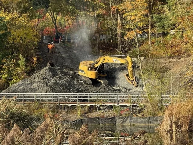 A yellow excavator works beside a narrow bridge amid autumn foliage and tall grasses.