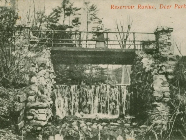 Vintage postcard of a stone reservoir dam with water flowing over it, labeled “Reservoir Ruins, Deer Park.”