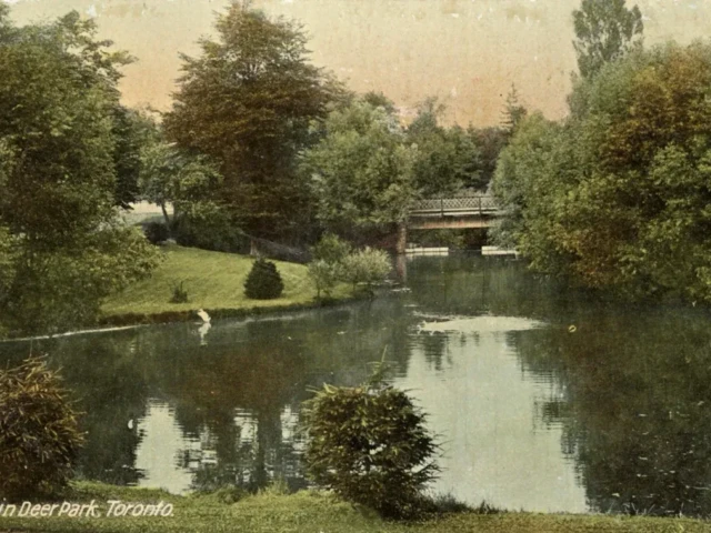 A tranquil pond surrounded by trees, with a small bridge in the distance.