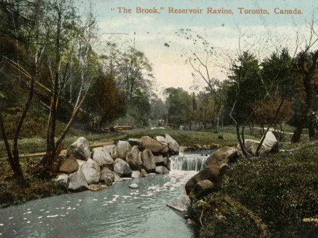 A rocky stream flows through a wooded landscape in a vintage postcard titled “The Brook,” Bower’s Ravine, Toronto, Canada.