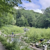 A wooded nature trail follows a rocky stream through a lush green clearing.