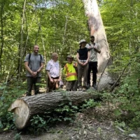 Four people stand beside a fallen tree trunk in a leafy forest.