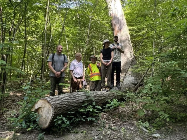 Four people stand beside a fallen tree trunk in a leafy forest.