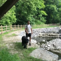 A person walks a black dog beside a shallow rocky stream in a wooded park.