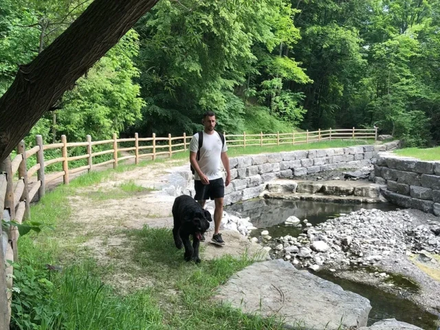 A person walks a black dog beside a shallow rocky stream in a wooded park.