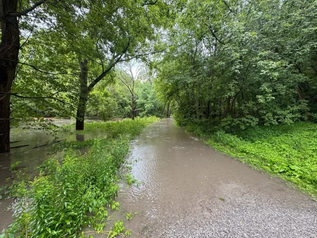 A flooded gravel path winds through a lush green woodland after heavy rain.